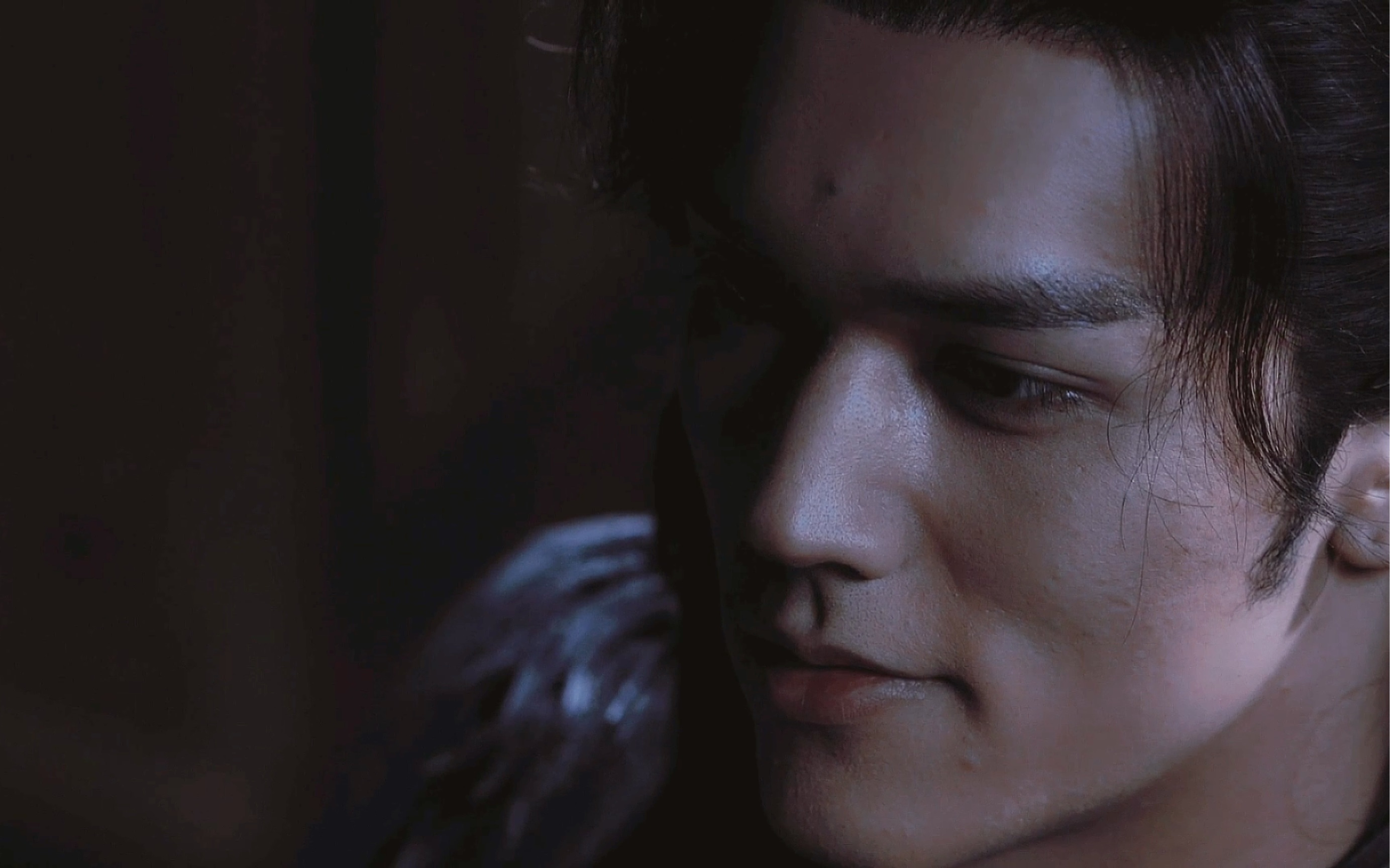 嘲风|陈牧驰|存档用|"他是风,自由的风.