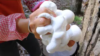 中国制造天然橡胶的过程，云南的战略储备橡胶林