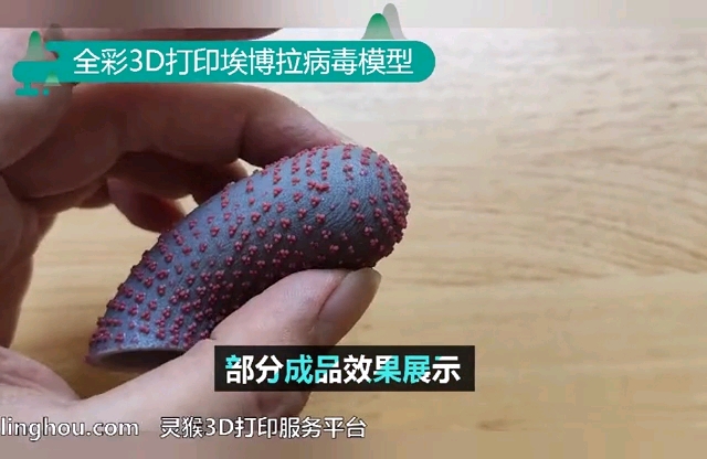 全彩3d打印埃博拉病毒模型展示!依然采用3dp工艺全彩石膏材料制作!