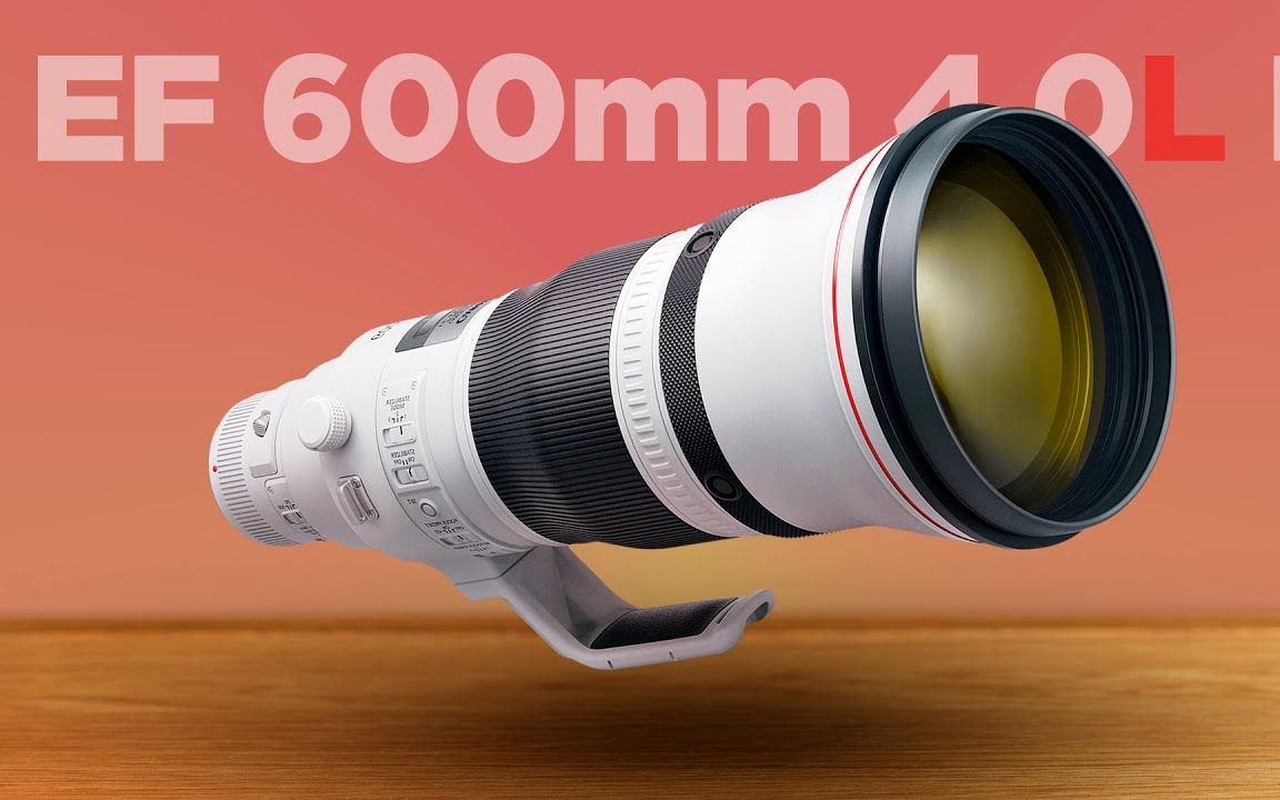 佳能 EF 600mm F4.0L IS II USM 镜头深度评测哔哩哔哩bilibili