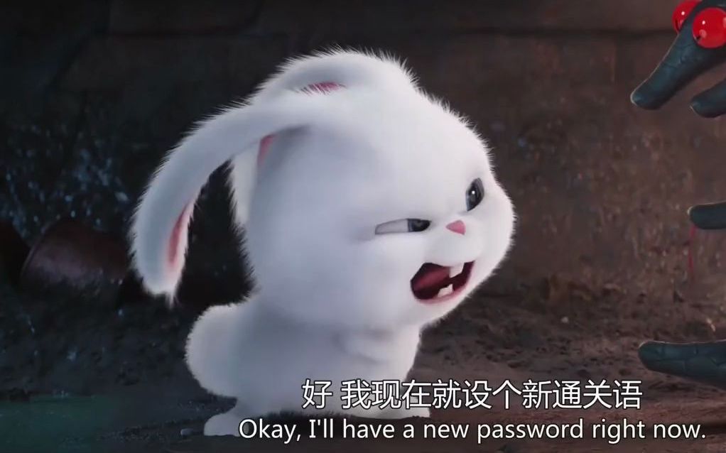 【爱宠大机密】动物们的老大竟然是只兔子,还这么可爱,太喜感了!