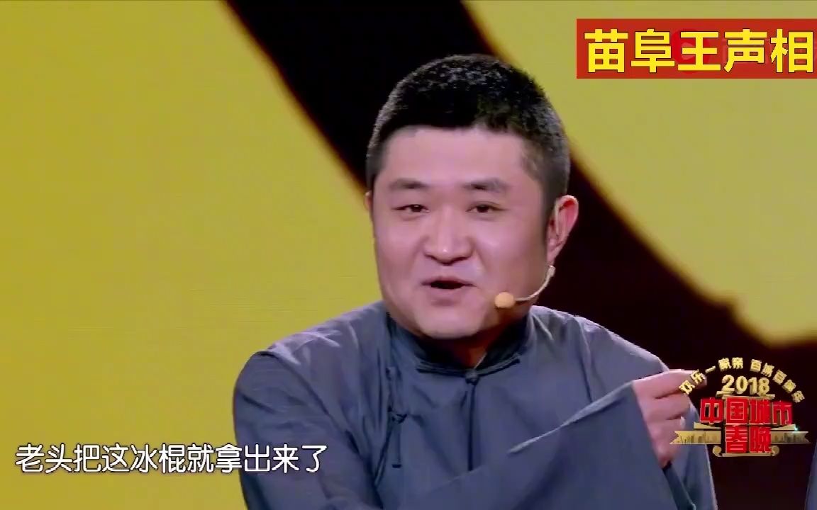 苗阜王声相声合集-一根冰棍都能说成这样,老苗这嘴我服了,精彩