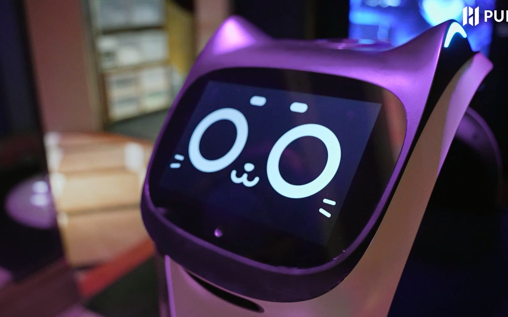 贝拉机器人聪明又能干,多台协同,工作更高效