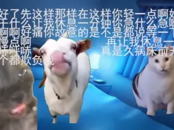 Download Video: 【猫meme】被重男轻女的婆婆创思的一天