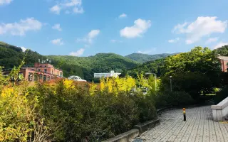 语学堂 搜索结果 哔哩哔哩 Bilibili