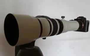 Video herunterladen: 某宝700元买的500MM F6.3镜头能拍什么好片？