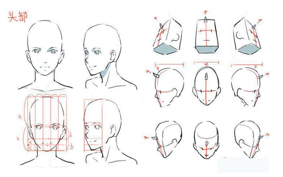 【新手向】头部零基础详细教学,看完就会,早点看这个视频早就会画头部了!哔哩哔哩bilibili