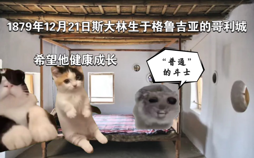 [图]斯大林的一生【上】｜猫meme