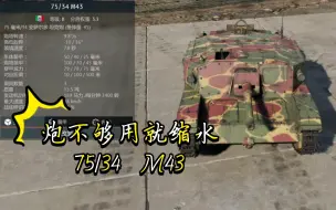 Descargar video: 炮不够用就缩水75/34  M43《战争雷霆》〔载具简评〕