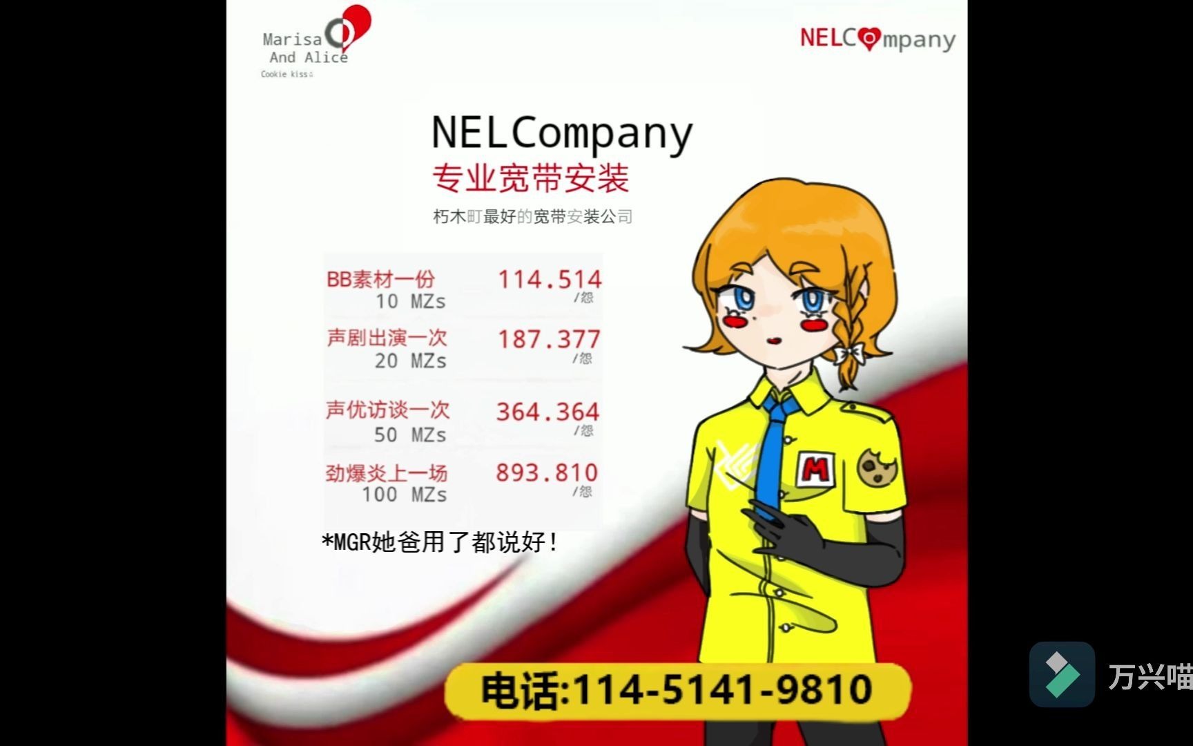 朽木镇魔性电信广告NELCompany(预览版)哔哩哔哩bilibili