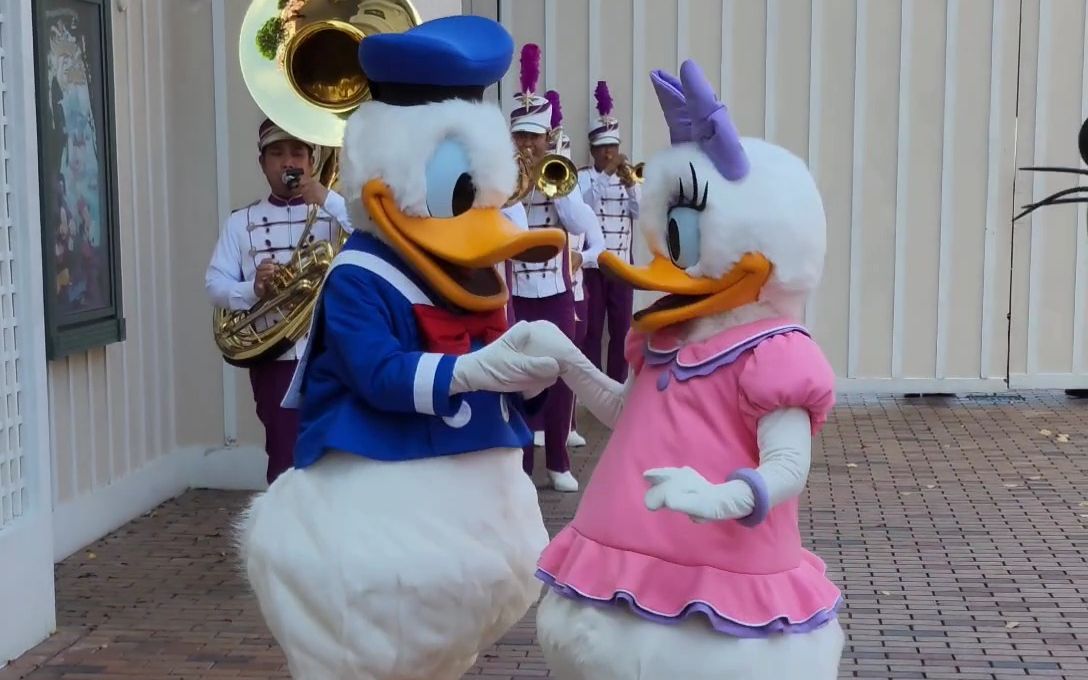 [香港迪士尼] daisy回歸生日慶典!