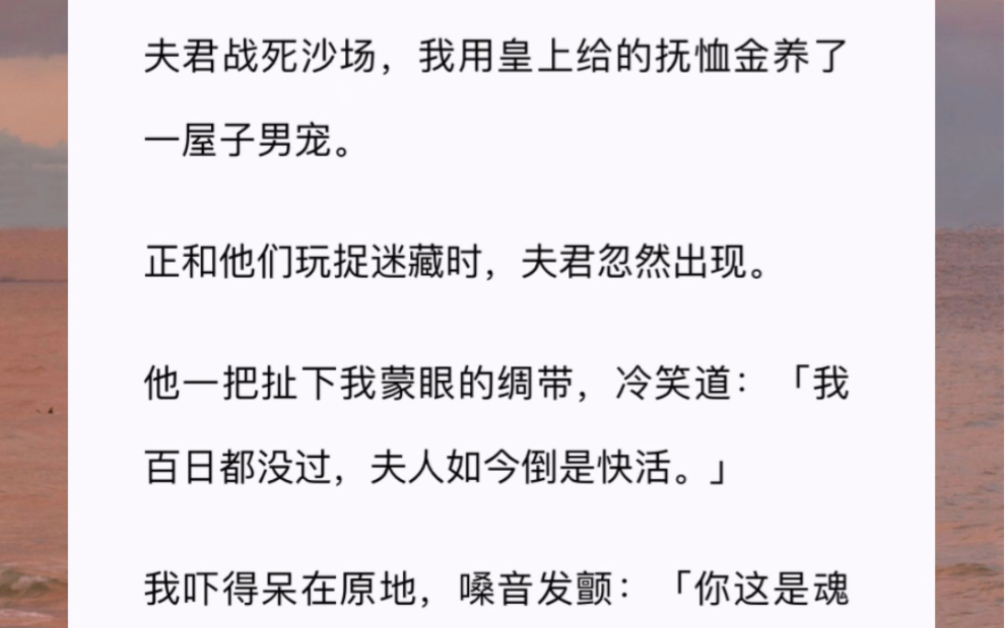 [图]夫君战死沙场，我用皇上给的抚恤金养了一屋子男宠。正和他们玩捉迷藏时，夫君忽然出现。