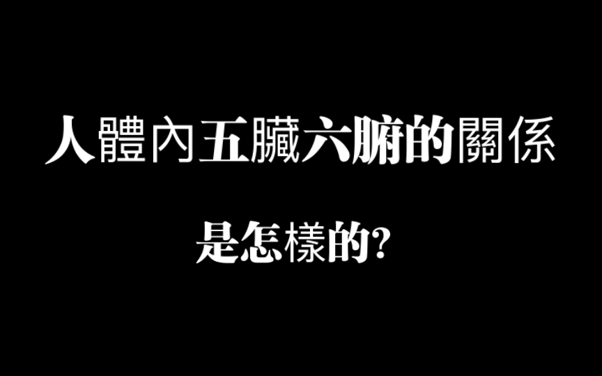 在中医学眼中,人体内五脏六腑的关系是怎样的?哔哩哔哩bilibili