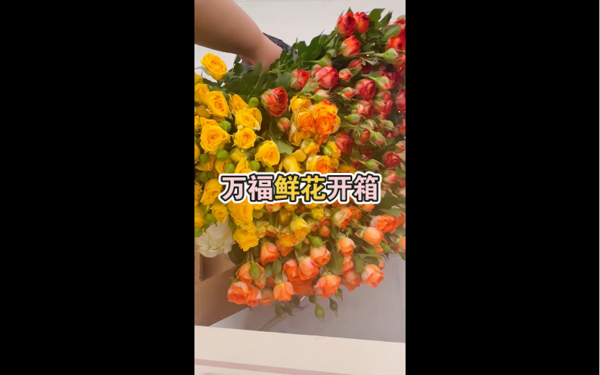 万福网购鲜花开箱| 百合多头玫瑰专场哔哩哔哩bilibili