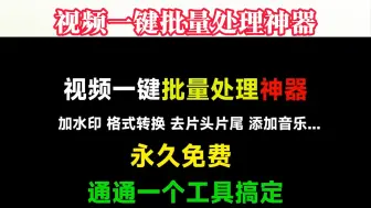 Download Video: 视频批量处理工具，视频批量加水印批量格式转换批量剪辑批量添加背景音乐软件