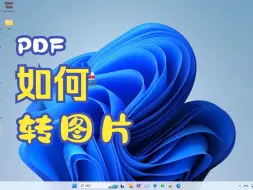 Download Video: PDF转图片，免费！不上传！