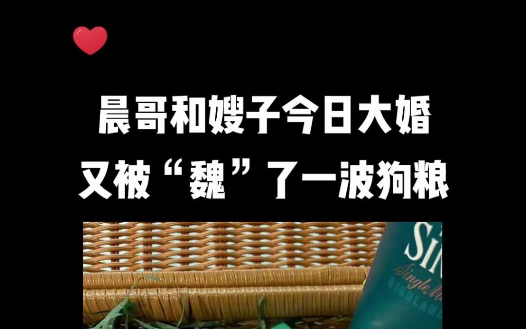 【魏晨婚礼】今天晨哥就要迎娶他的公主了,恭喜晨哥新婚快乐哔哩哔哩bilibili