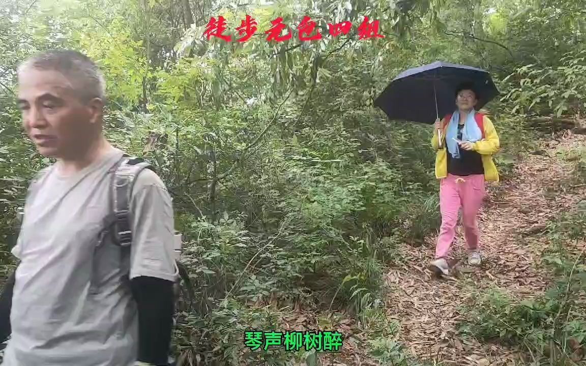 成都龙泉山哔哩哔哩bilibili