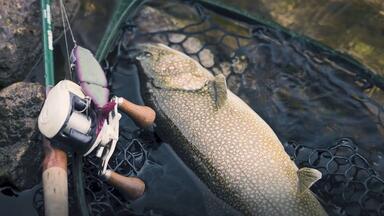 jackson trout unlimited TUSC-432L溪流神器_哔哩哔哩_bilibili
