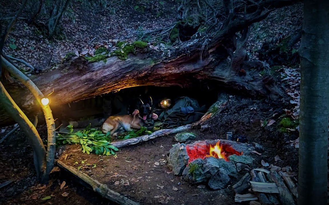 【wargeh露营】原始庇护所 和狗狗在野外过夜