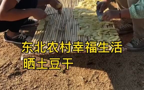 你们那里,是怎么晒土豆干的呢哔哩哔哩bilibili