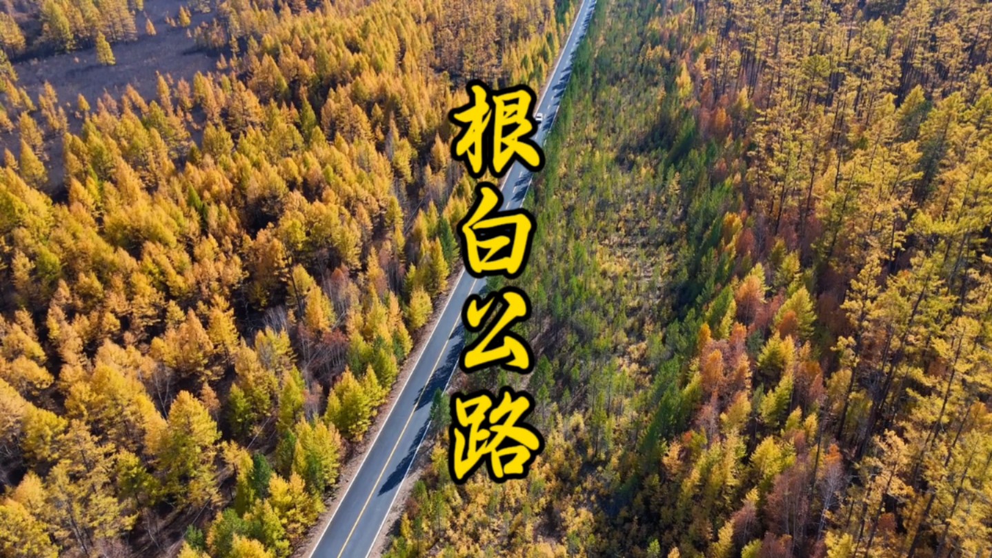 在从根河到白鹿岛的这条根白公路上我见到了大兴安岭秋天最美的样子哔哩哔哩bilibili