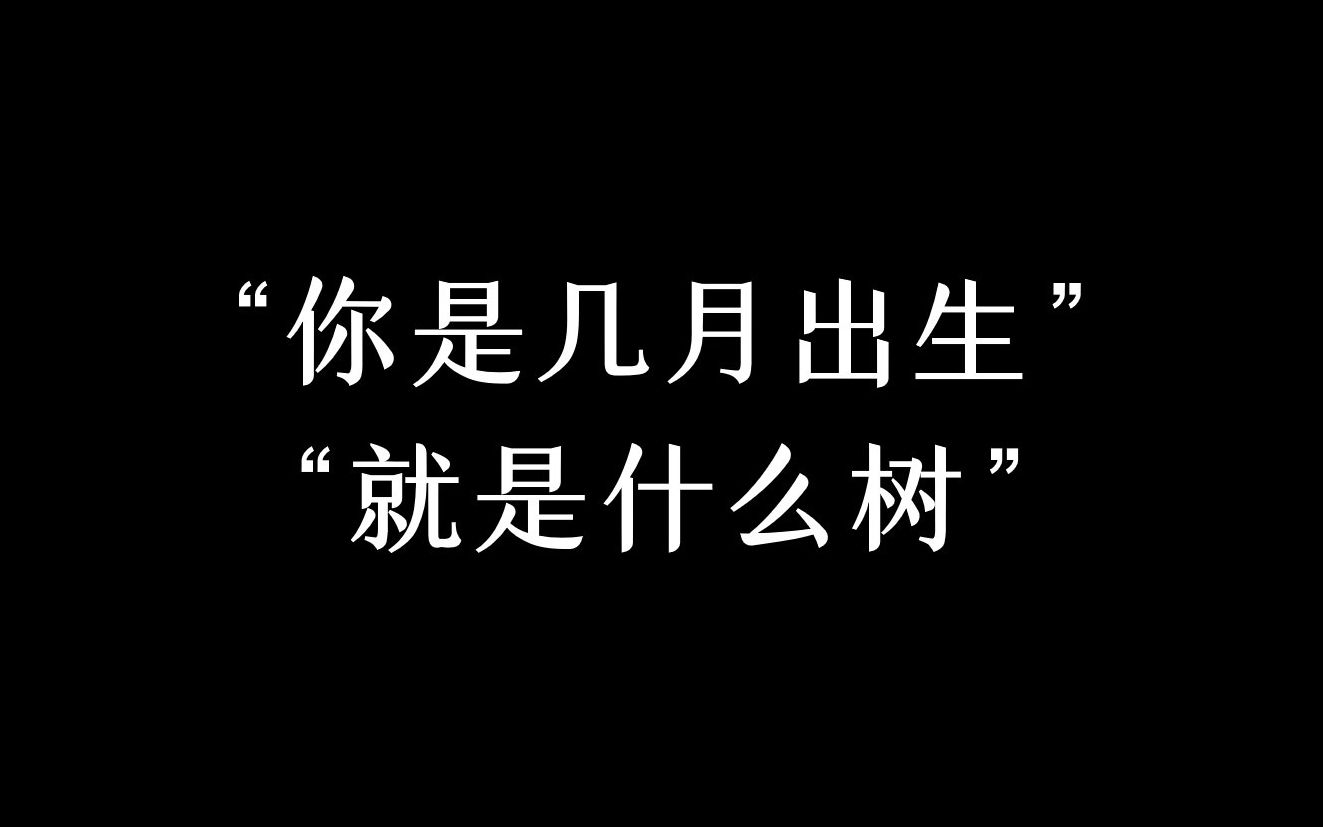 “所以你是什么树呢?”哔哩哔哩bilibili