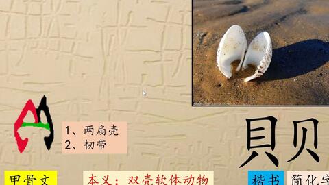 33 米 小米粒太难了 趣味识字汉字演变 甲骨文 笔画描色 字理 哔哩哔哩 33 米 小米粒太难了 趣味识字汉字演变 甲骨文 笔画描色 字理 哔哩哔哩