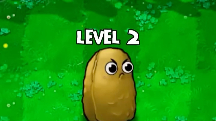 pvz1 高坚果的进化史