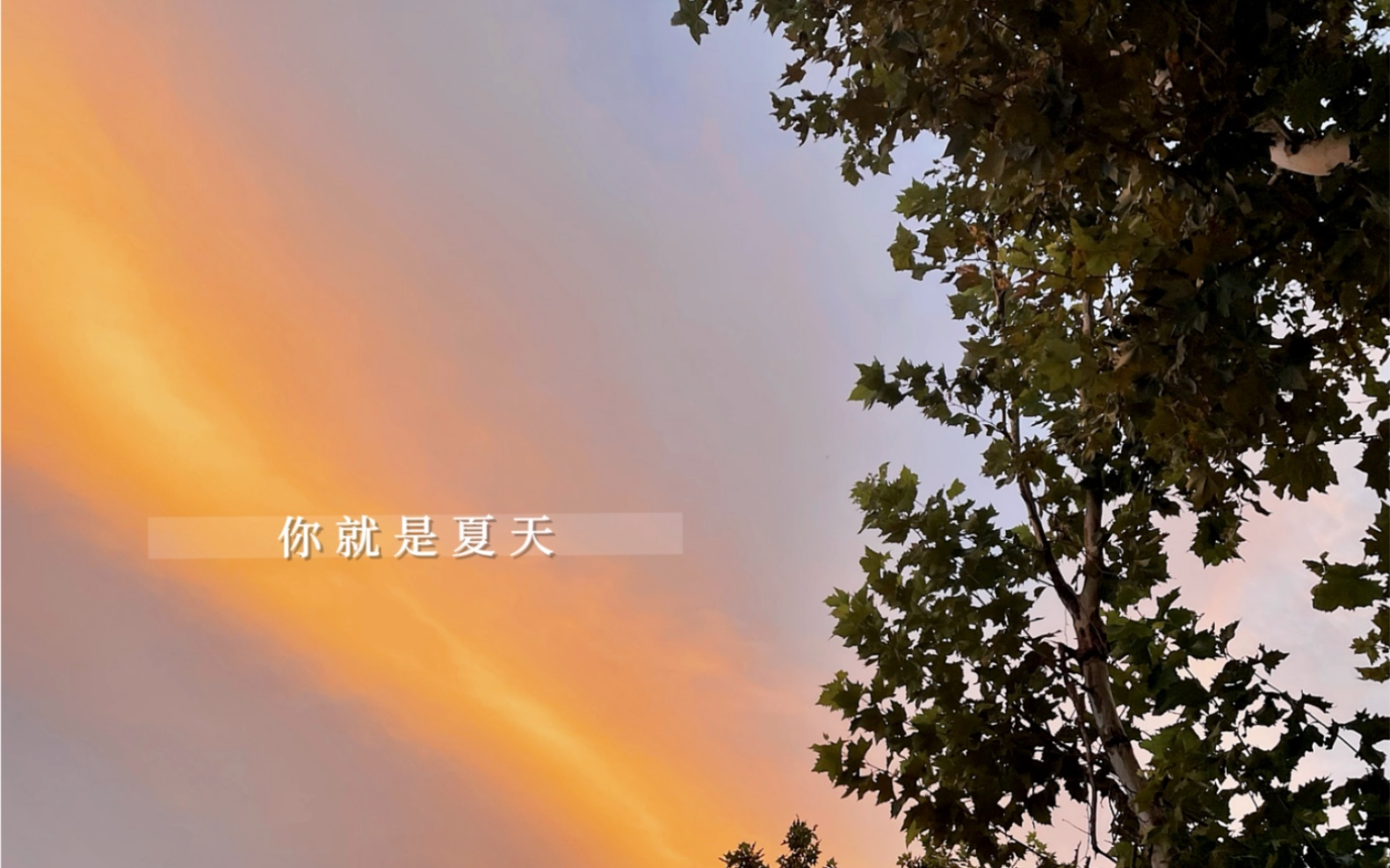 已经开始期待夏天了