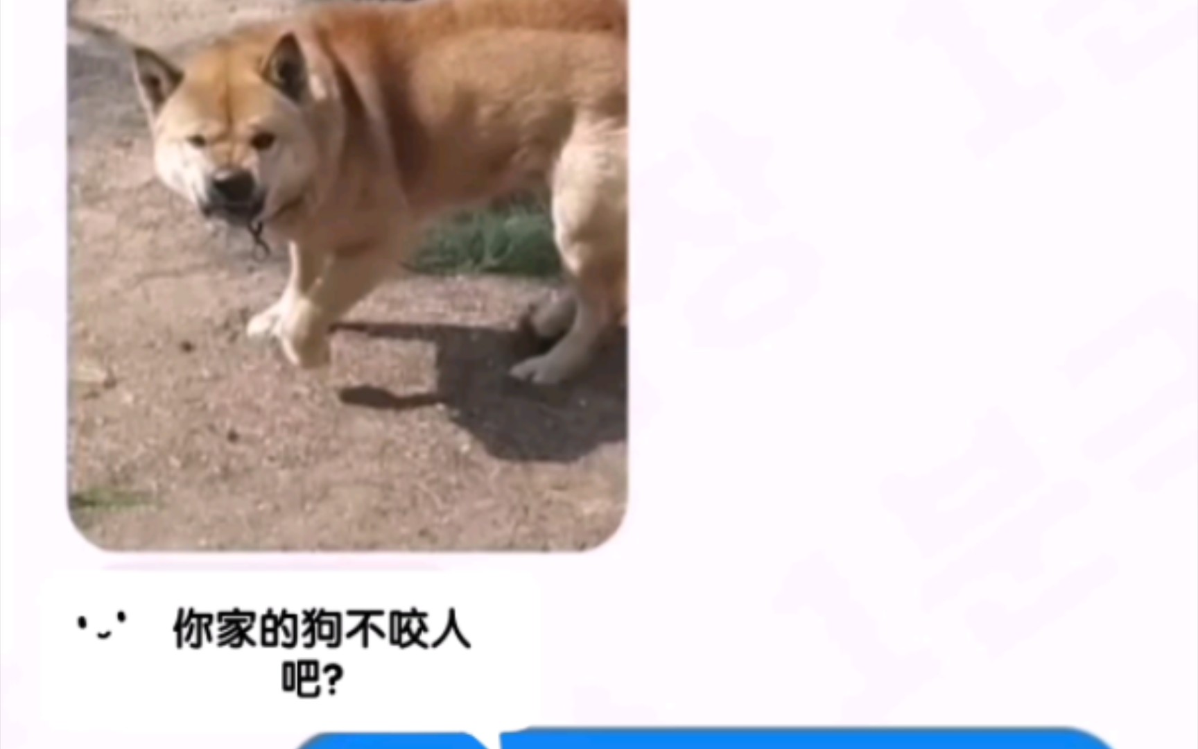 韩国快递小哥和顾客的真实搞笑聊天记录哔哩哔哩bilibili