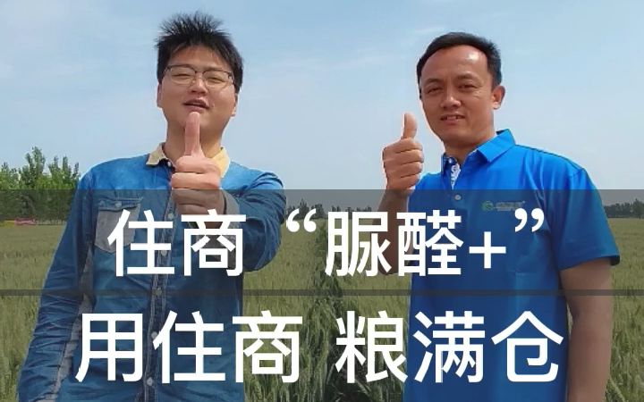 住商“脲醛+”:用住商 粮满仓哔哩哔哩bilibili