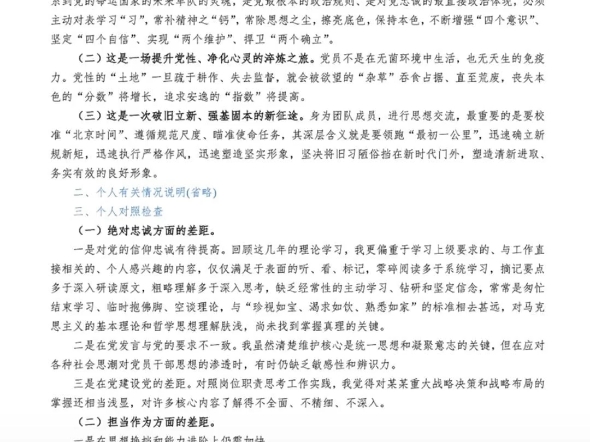 年度民主生活会个人对照检查材料:2024年自我检查材料 主页下载更多哔哩哔哩bilibili