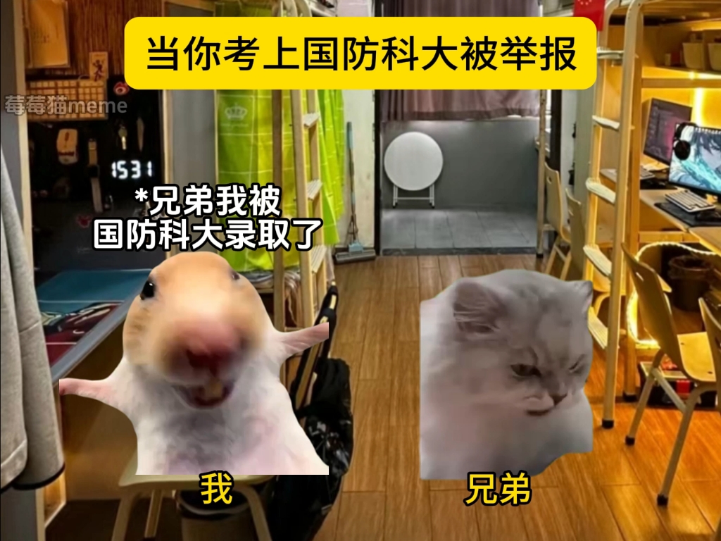 当你考上国防科大被举报