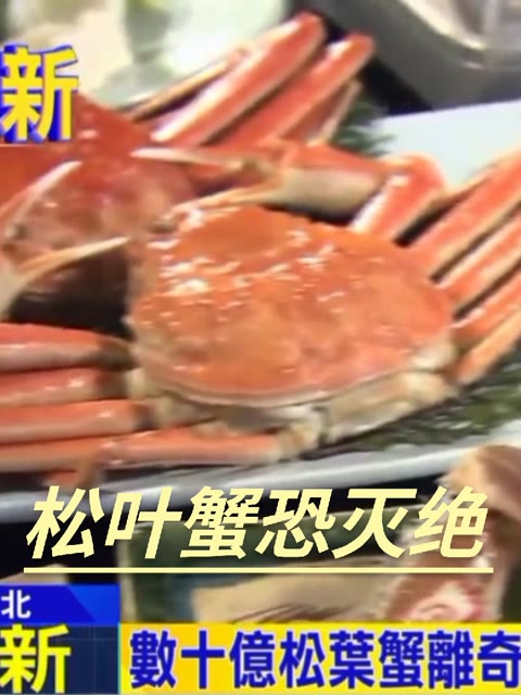 美味"松叶蟹"恐灭绝