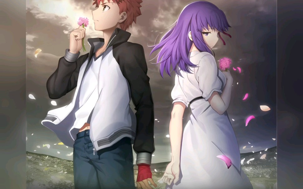 Fate/Stay Night[Heaven's Feel](petals and butterfly)哔哩哔哩bilibili