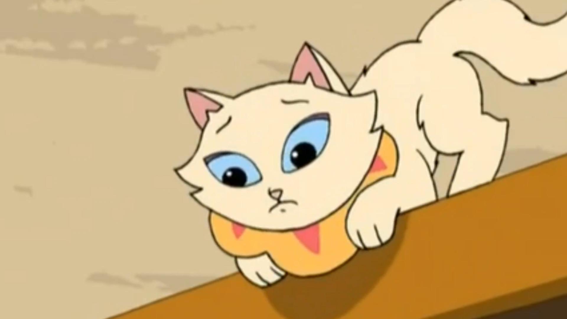 sagwa: 白猫变花猫