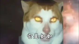 MondayCat jumpscares（如来真的来了吗？）