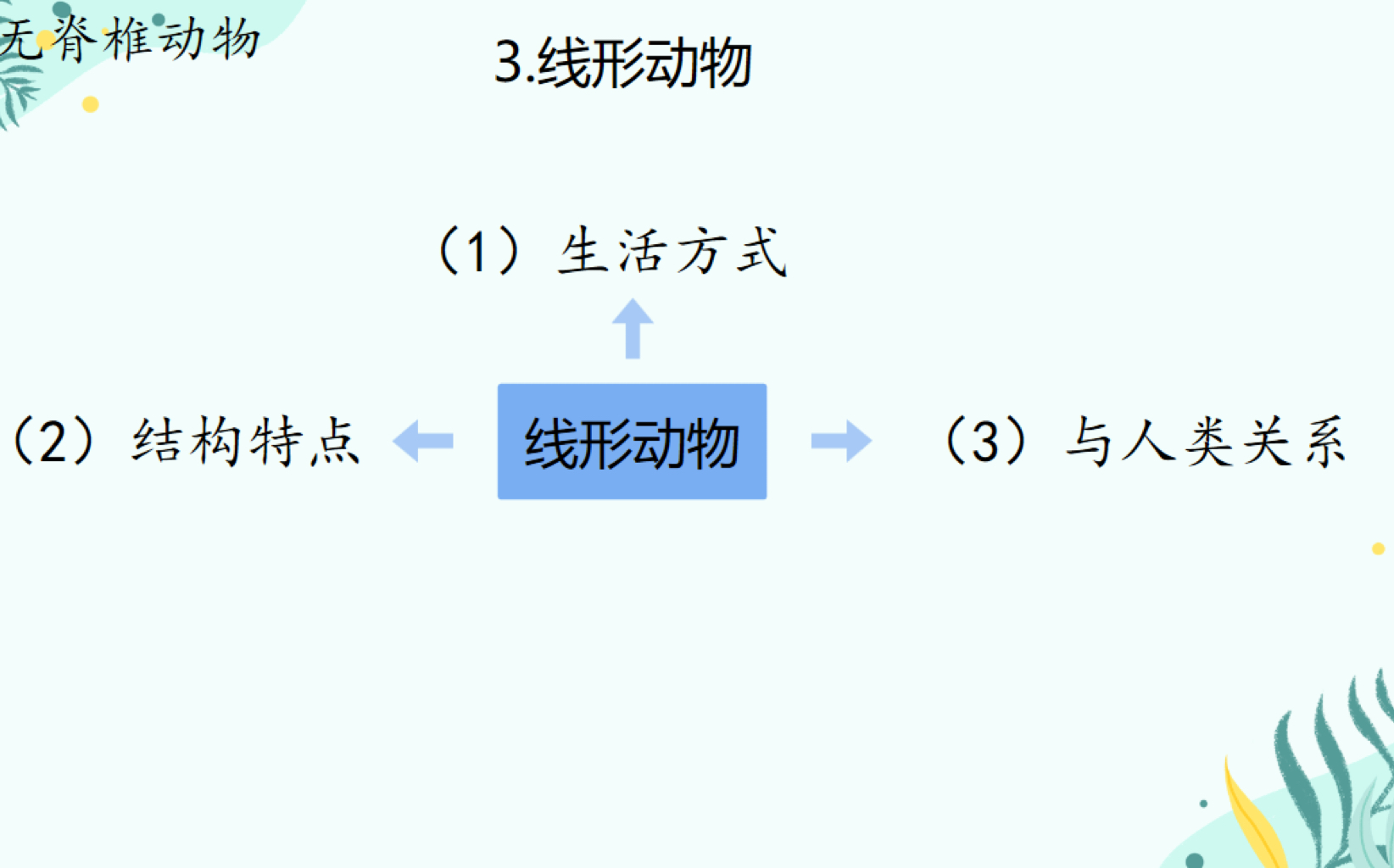 5.1.1无脊椎动物——3.线形动物哔哩哔哩bilibili