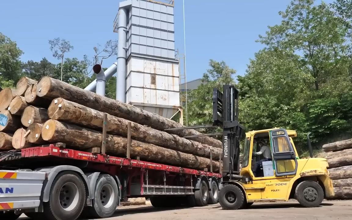 [图]The process of mass-producing wooden pallets from giant trees. Pallet factory in