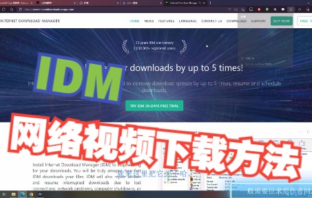 永久免费使用正版IDM哔哩哔哩bilibili