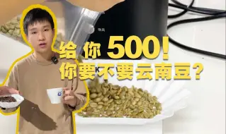 Download Video: 给你500块，你会不会选云南豆？