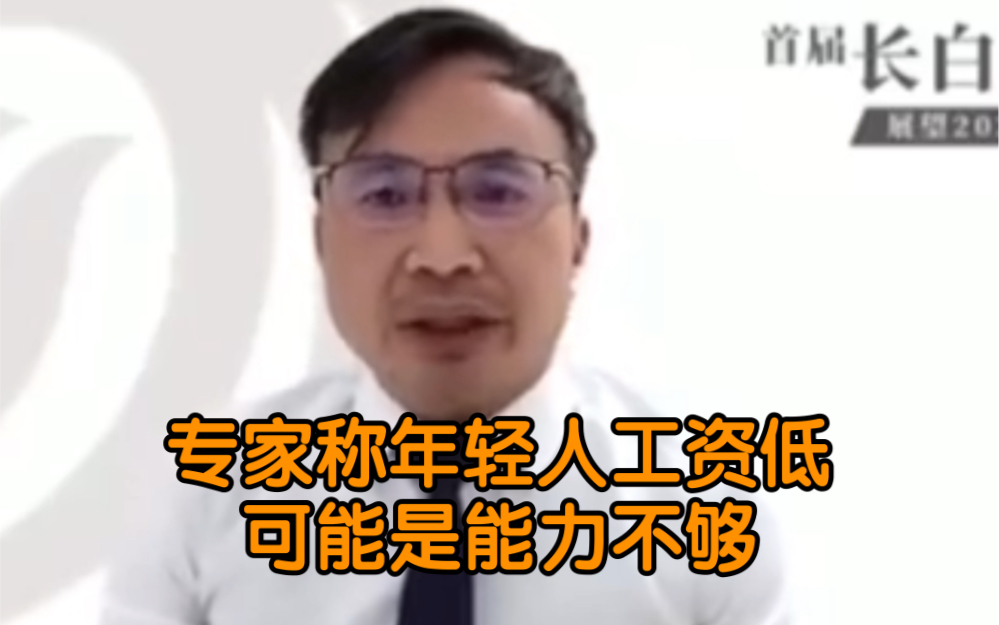 专家称年轻人工资低可能是能力不够 “可能在泰国或越南只能拿一半工资”哔哩哔哩bilibili