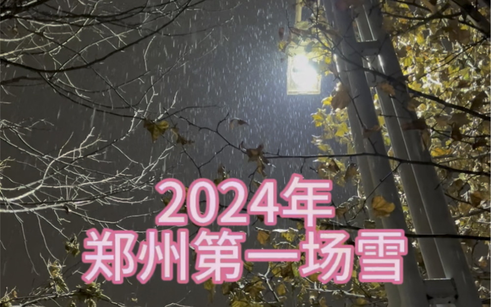 2024年郑州第一场大雪,你的城市下雪了吗?哔哩哔哩bilibili