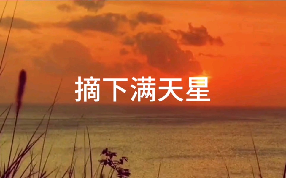 摘下满天星～古筝