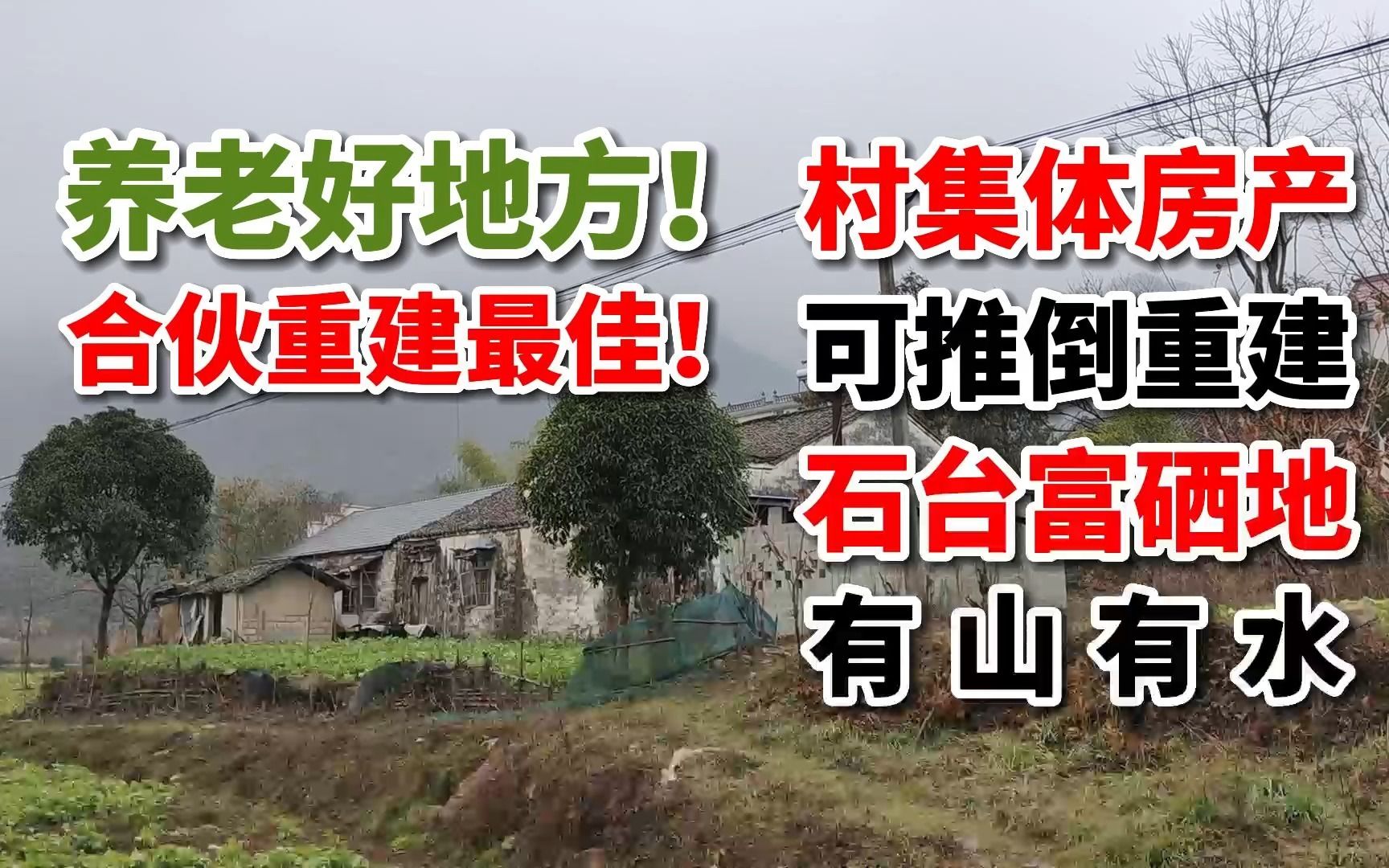 月租金仅166元!农村村集体房屋招租,临山伴溪,可流转重建!哔哩哔哩bilibili