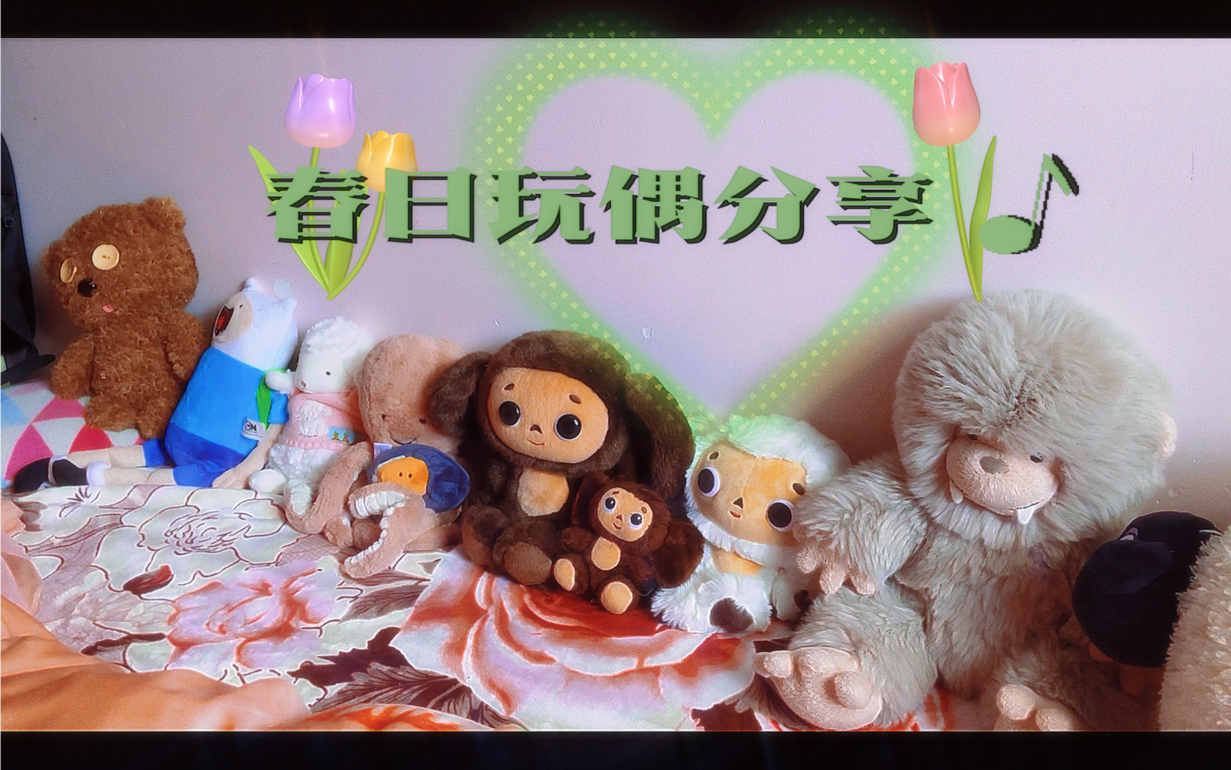 [图]【床头玩偶分享VLOG】Jellycat 大脚怪&小章鱼&青口贝｜大耳猴查布布Cheburashka 中古款｜海湾兔小羊｜环球影视城｜探险活宝Finn