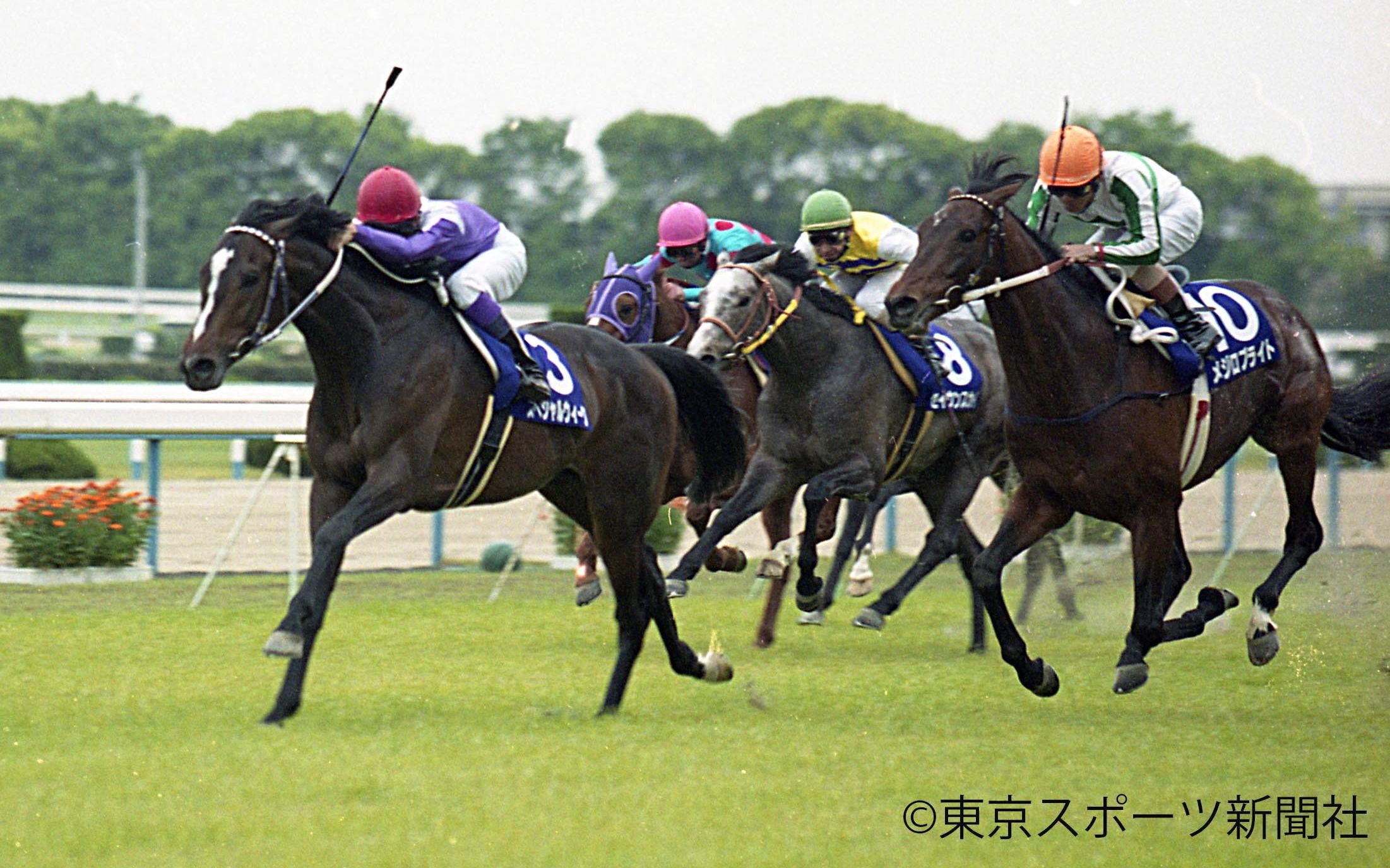 【赛马】1999年天皇赏(春)(gi)【特别周】