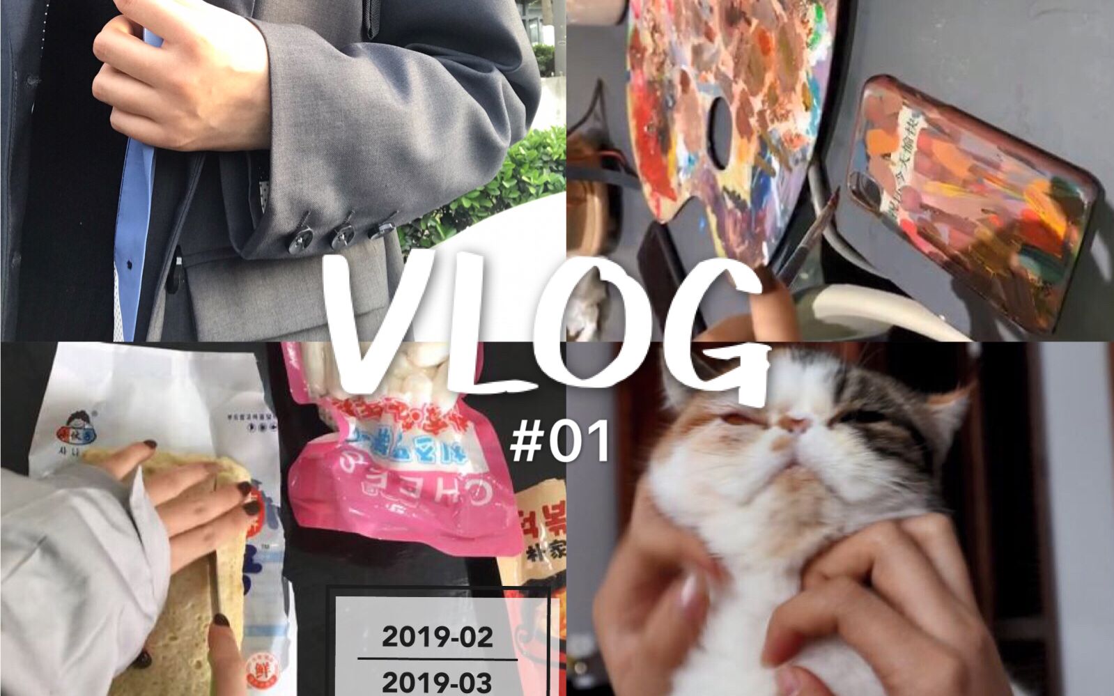 VLOG生活愉快I画手机壳I汗蒸I撸猫I在家做炒年糕I学习I言几又I买书I哔哩哔哩bilibili