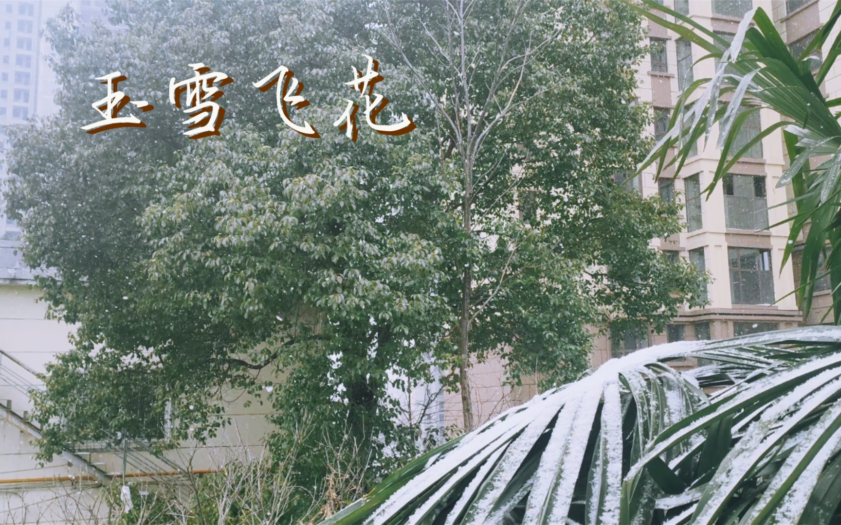 [图]【飘雪】玉雪飞花~